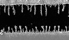 Gold nanowires grown via dielectrophoresis